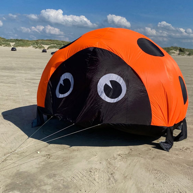 Ladybird kite soft kites for k - Kite Easy Fly Kids avis et prix