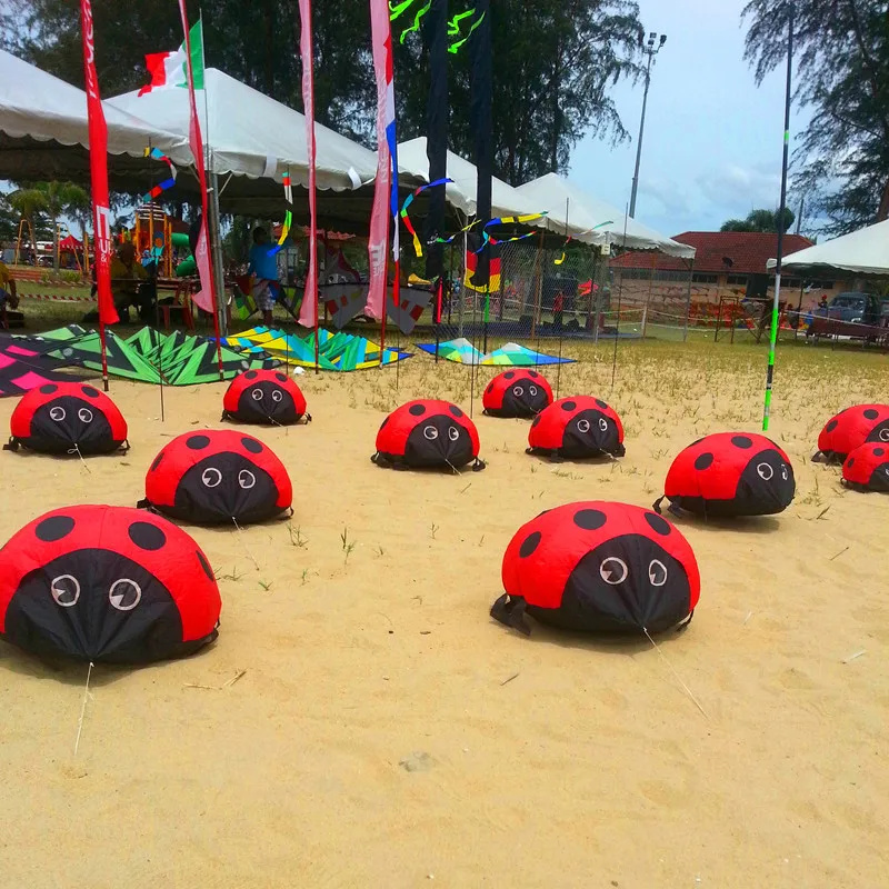 Ladybird kite soft kites for k - Kite Easy Fly Kids avis et prix