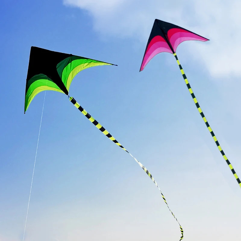 Adults Easy to Fly Large Huge  - Kite Easy Fly Kids avis et prix