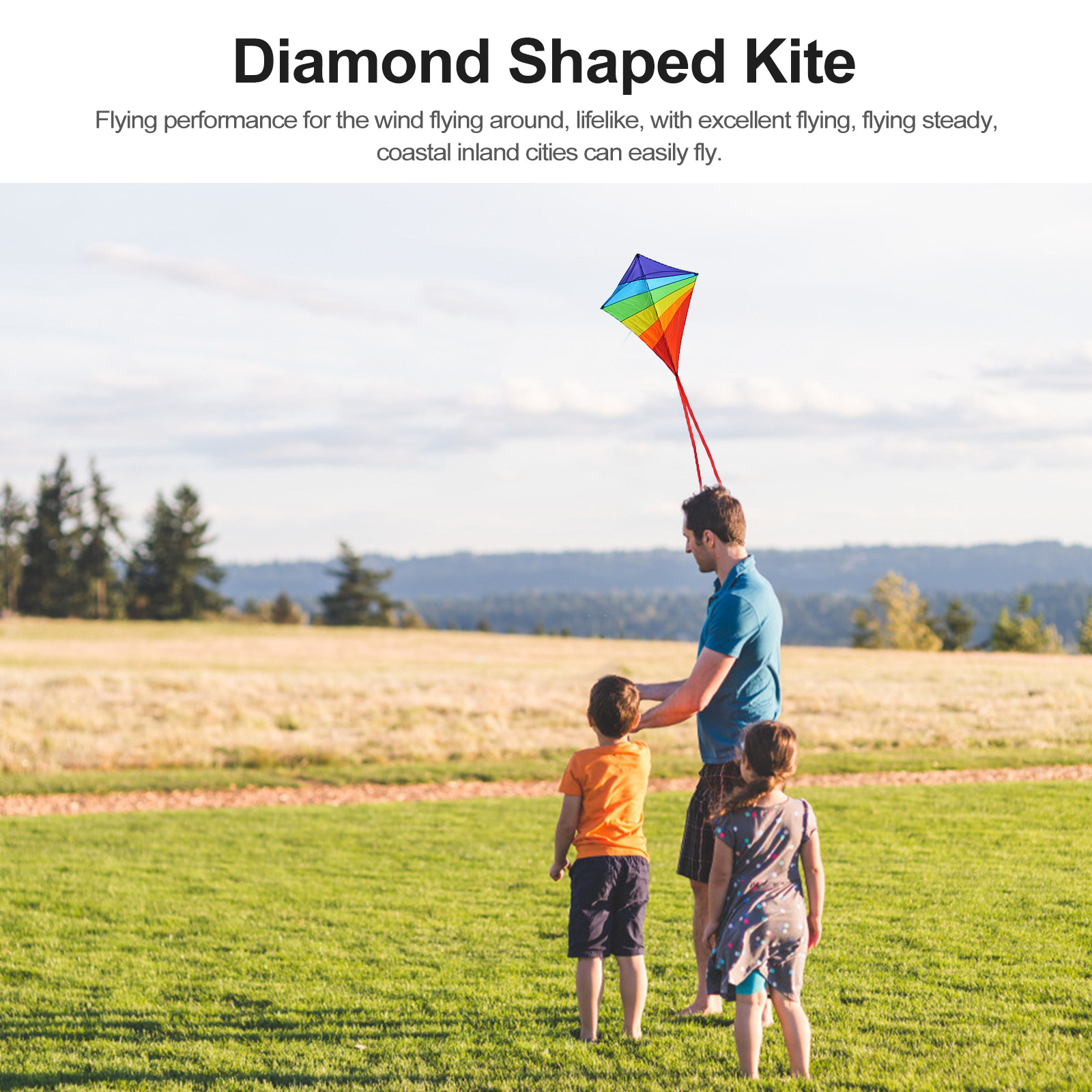 Shape Rainbow Kite with Long T - Kite Easy Fly Kids avis et prix