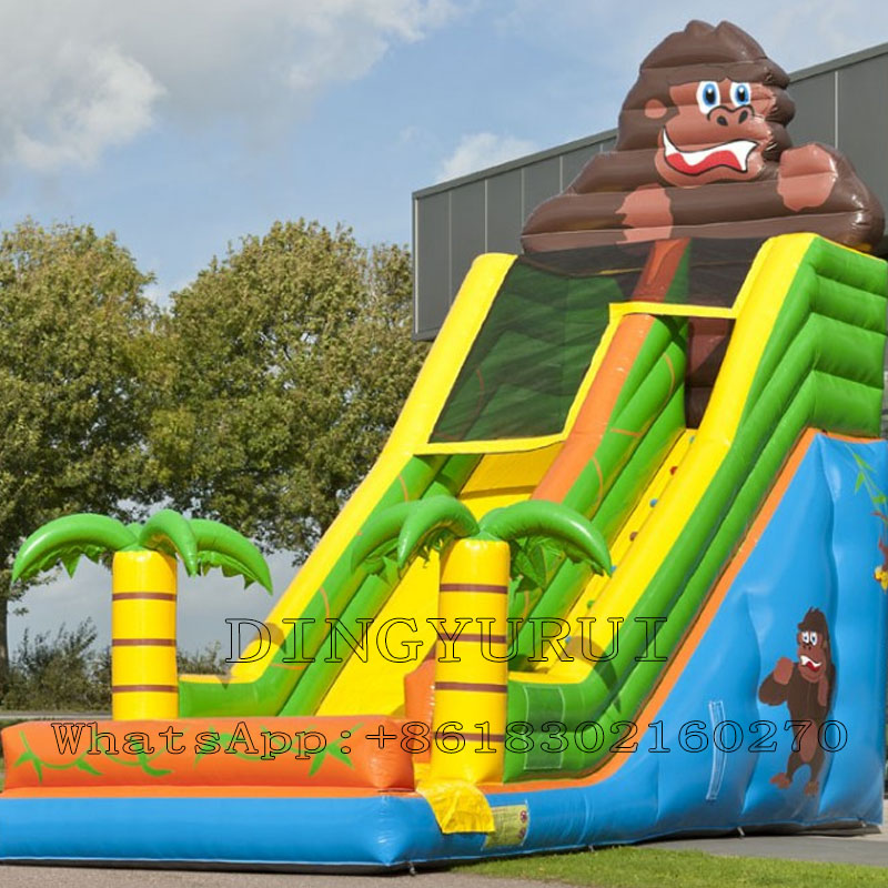 Inflatable Slide Large Outdoor - Outdoor Kid Friendly avis et prix