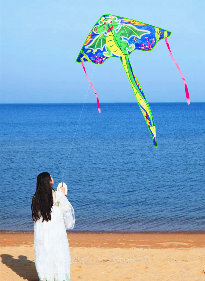 New horse kite flying children - Kite Easy Fly Kids avis et prix