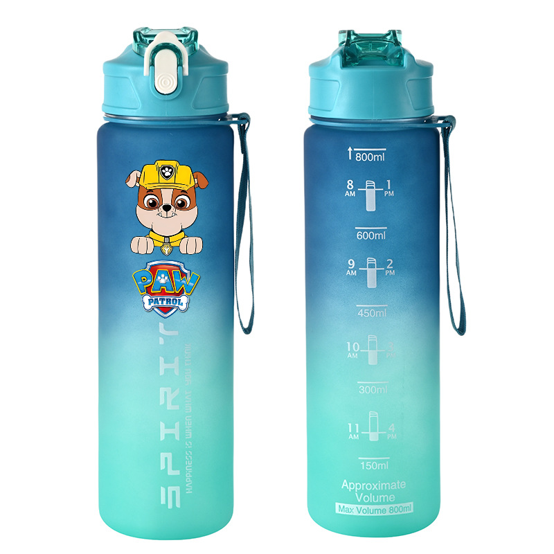 800ml PAW Patrol Sports Water  - Kids Outdoor Kitchen avis et prix