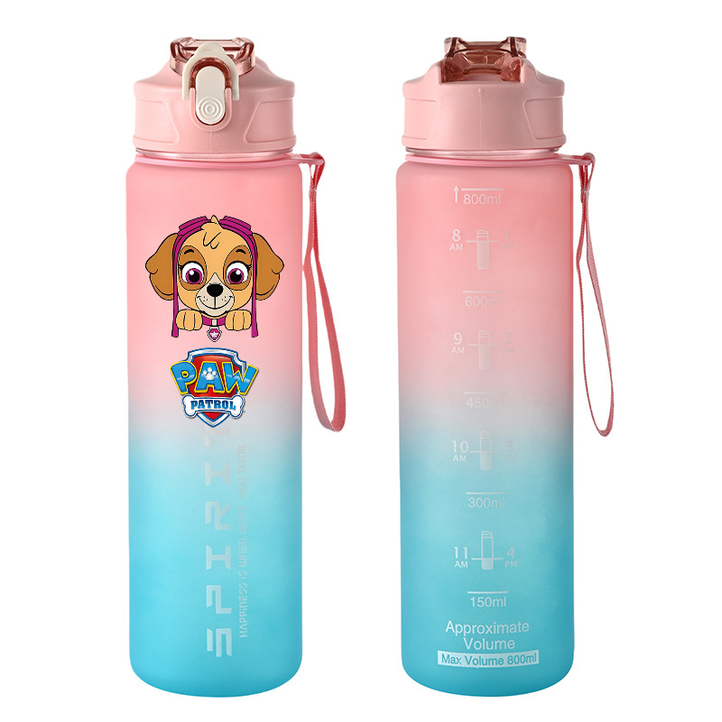 800ml PAW Patrol Sports Water  - Kids Outdoor Kitchen avis et prix