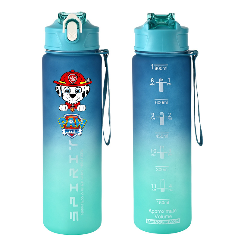800ml PAW Patrol Sports Water  - Kids Outdoor Kitchen avis et prix