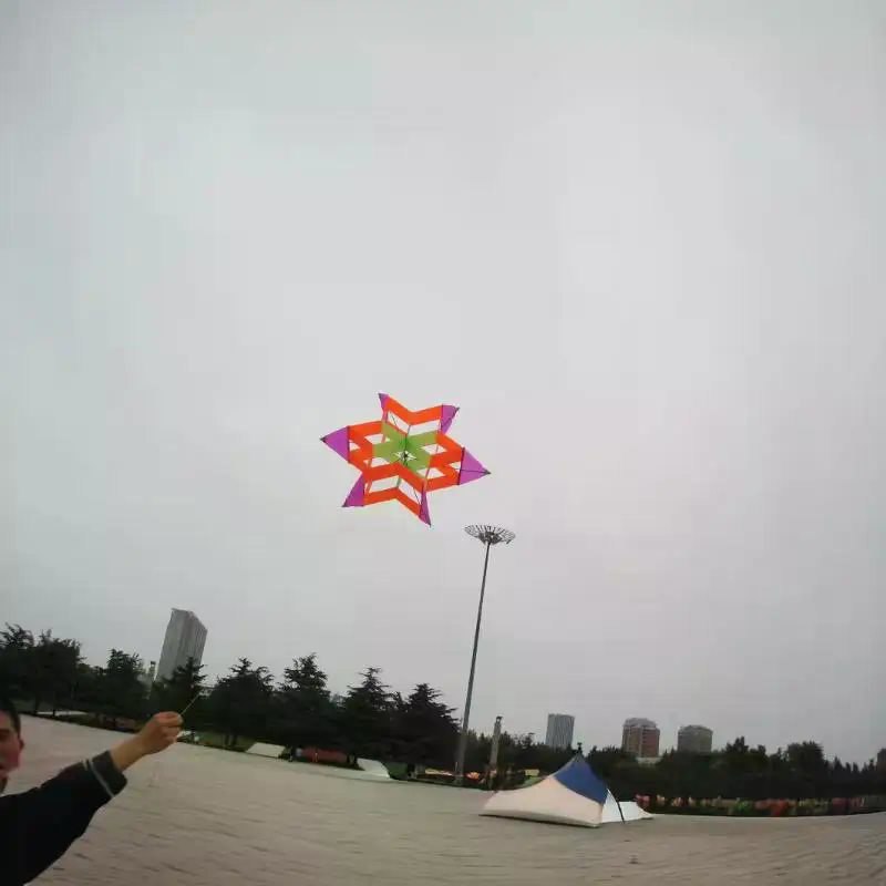 New Style 3D Plum Blossom Kid- - Kite Easy Fly Kids avis et prix