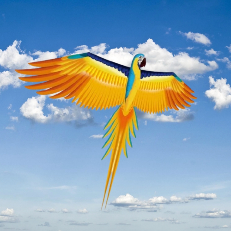 Free shipping parrot kites fly - Kite Easy Fly Kids avis et prix