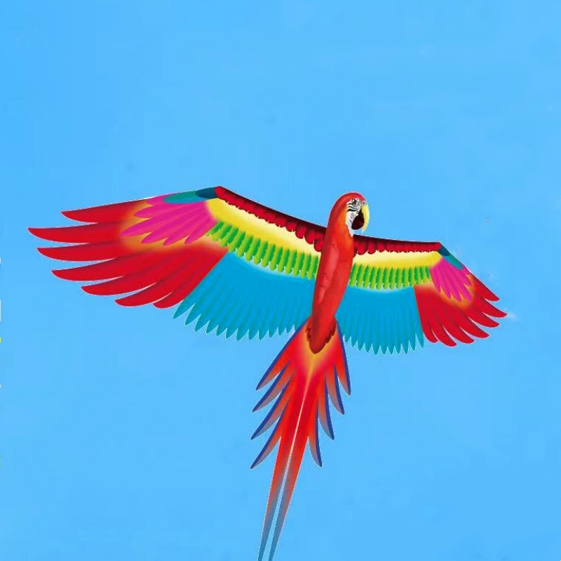Free shipping parrot kites fly - Kite Easy Fly Kids avis et prix