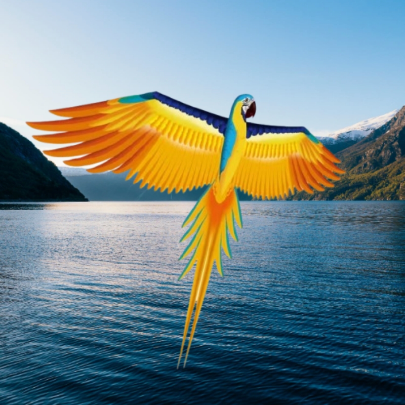 Free shipping parrot kites fly - Kite Easy Fly Kids avis et prix