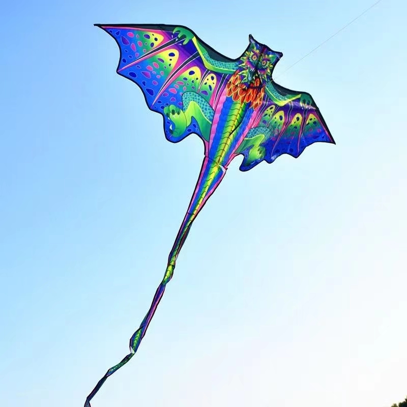 3d dragon kite for kids kite n - Kite Easy Fly Kids avis et prix