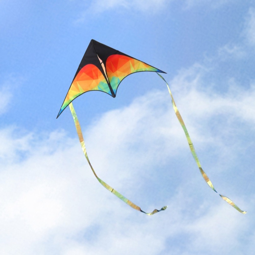 Double-tailed Large Delta Kite - Kite Easy Fly Kids avis et prix