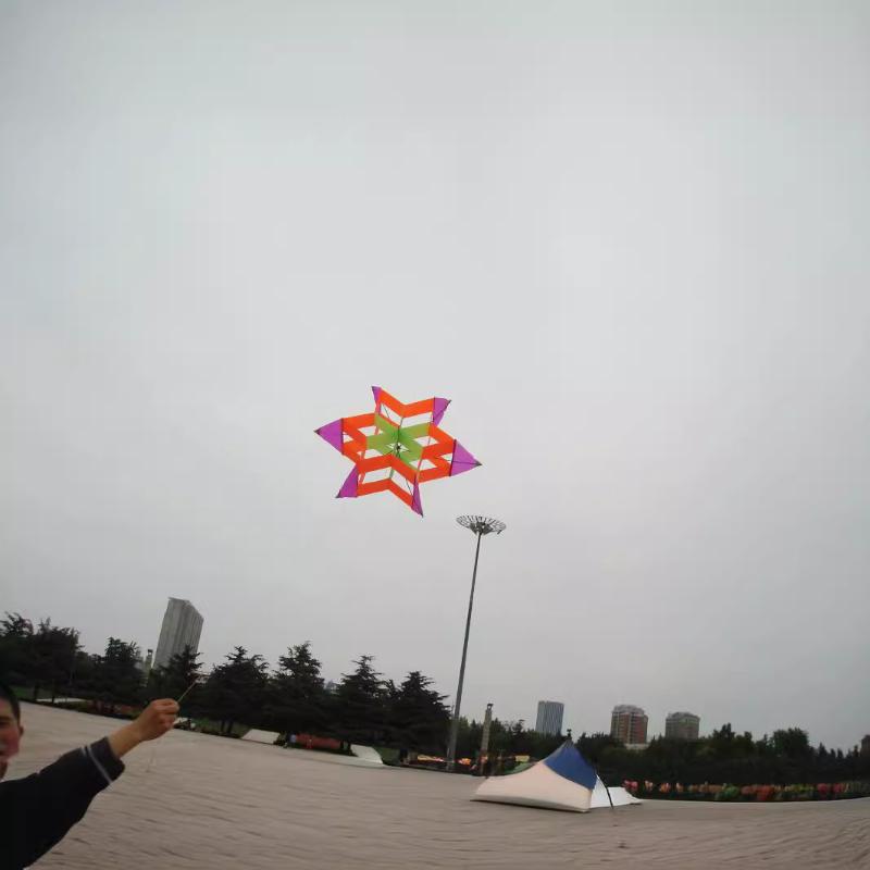 Travel-friendly 3D Plum Blosso - Kite Easy Fly Kids avis et prix
