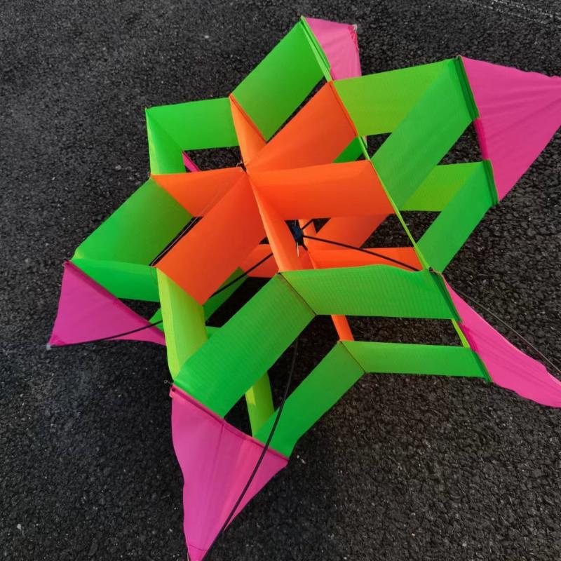 Travel-friendly 3D Plum Blosso - Kite Easy Fly Kids avis et prix