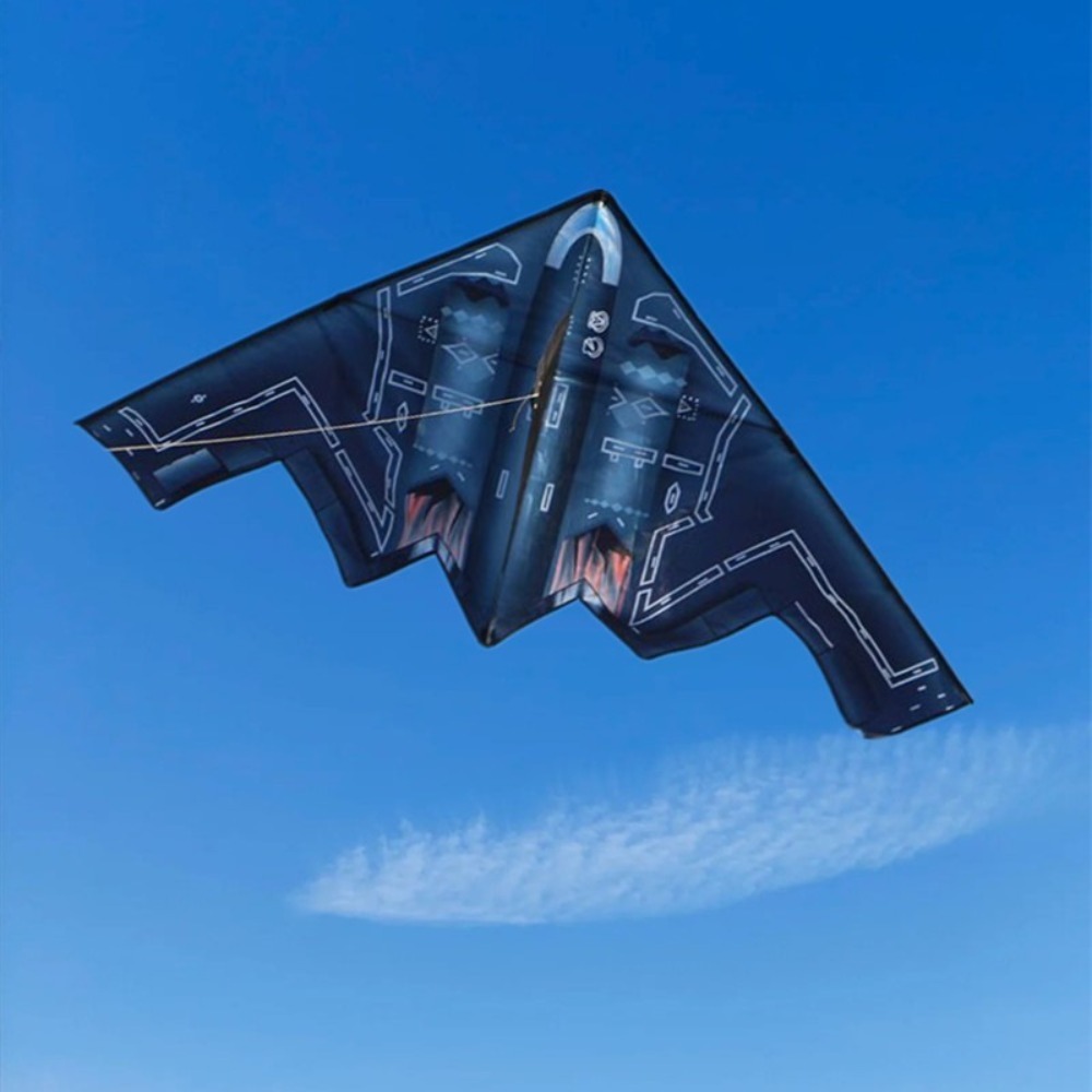 Easy to Fly Plane Kites Good F - Kite Easy Fly Kids avis et prix