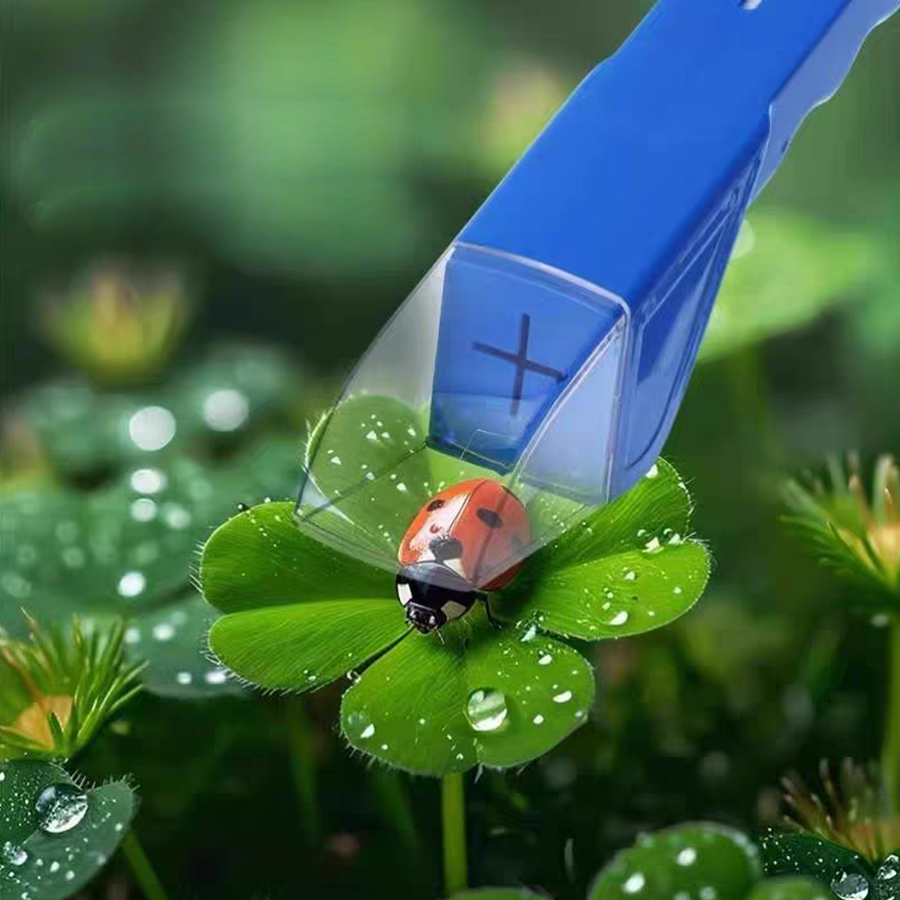 Kids Insect Catcher Box Magnif - Kids Outdoor Gifts avis et prix